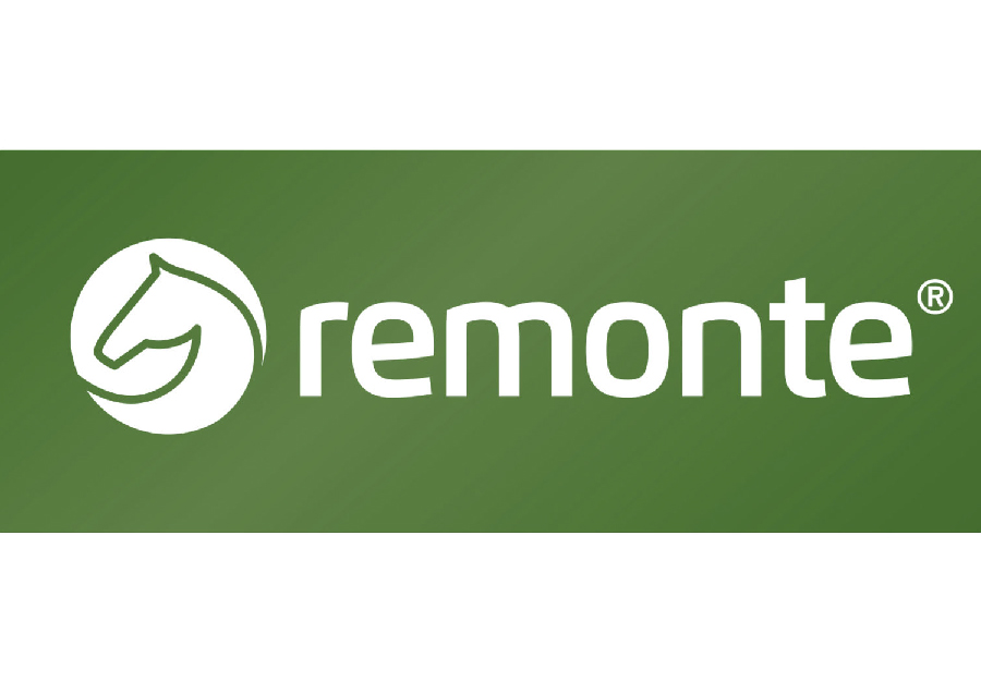 Обувь Remonte оптом, бренд Remonte