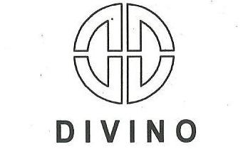 Обувь DIVINO оптом, бренд DIVINO
