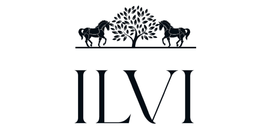 Обувь ilvi оптом, бренд ilvi