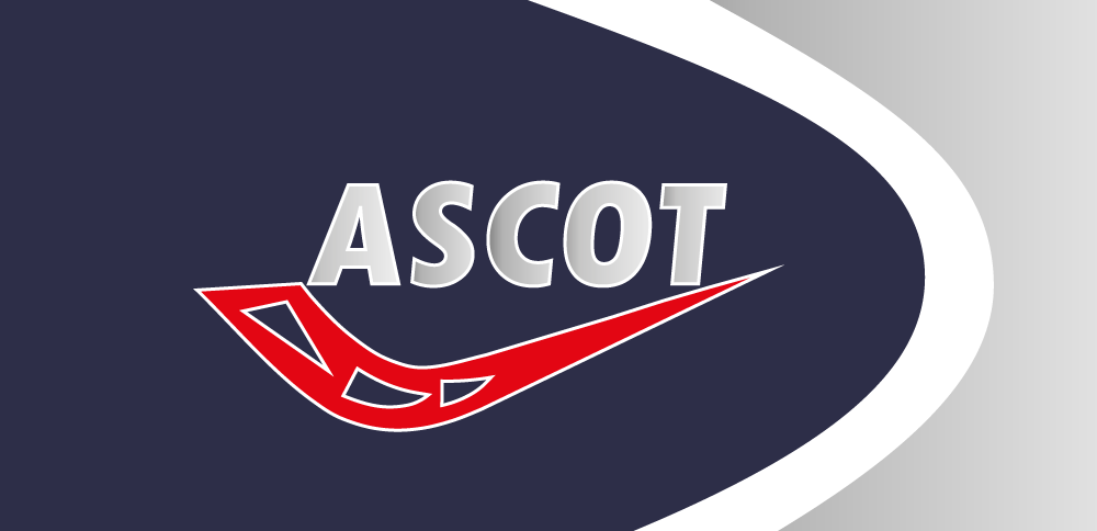 Оптовый поставщик обуви Ascot