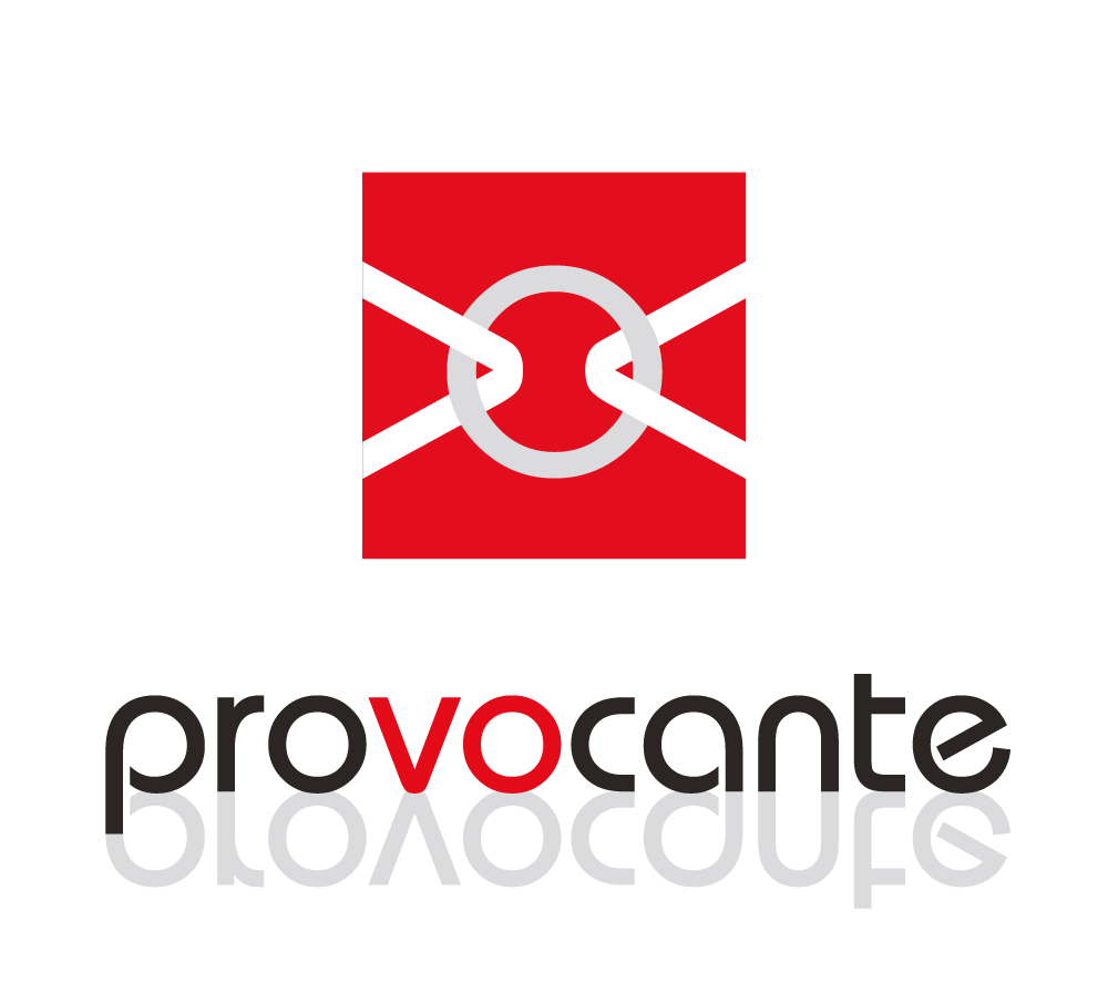 Оптовый поставщик обуви PROVOCANTE