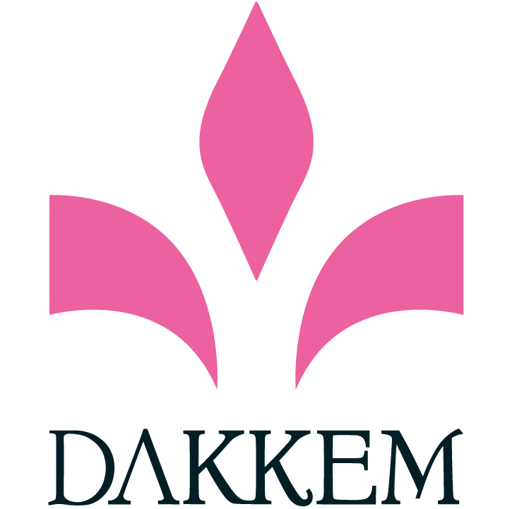 Обувь DAKKEM оптом, бренд DAKKEM