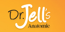 Бренд обуви DR. JELL’S