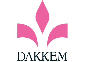 Бренд обуви DAKKEM