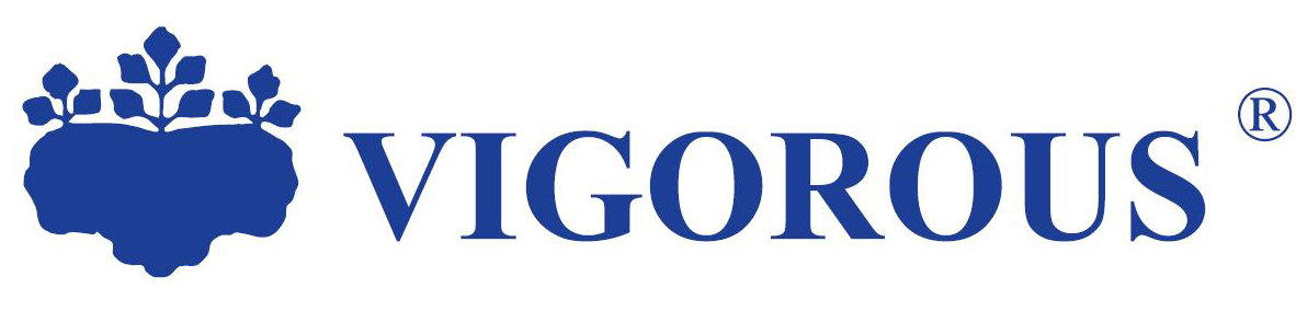 Оптовый поставщик обуви VIGOROS Оптовый поставщик обуви VIGOROS